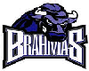 Brahmas Hockey Request