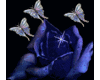 Sparkling  Blue Rose