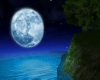 MoonLitNight