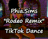 P.S. Rodeo Remix TikTok