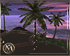 ℳ▸Xaden Palm Light