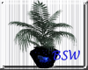 [bswf] blu pot plant 1