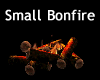 Small Bonfire