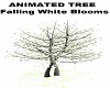 Tree White Falling Petal