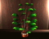 Plant NK