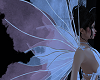 Queen Fairy Wing