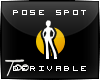 T  Pose Spot