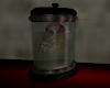 (S)Skull in jar