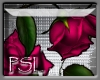 PSL Hot Pink Rose Enhanc