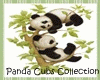 Panda Cubs Toys