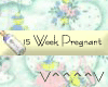 15 Weeks Pregnant (Y)