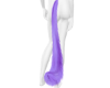 Lilac kitten tail