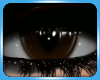 Demon eyes - Dark Brown
