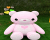 PANDA PINK ED