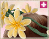 spring  crown Y