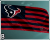 Texans  Flag