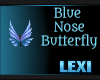 Blue NoseButterfly
