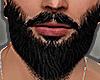 🎀   Vale Beard