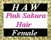 Pink Sakura Hair - F