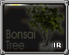 [IR] Bonsai Tree