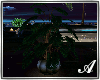 Moonlight potted plant