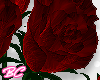 eDark Red rose bouquet