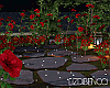 Valentines Secret Place