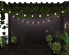 Little Garden Apt