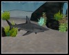 Oceanic Shark