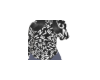 CC Sweater V2