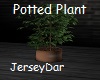 Potted Plant Tree