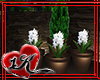 !!1K ME Potted Flowers