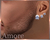 Amore Diamond Earrings M