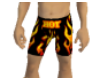 Flame Fire shorts