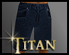 TT*Dk Blue Denim Shorts