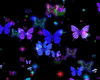 Flower,butterfly bundle