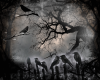 ~A Murder of Crows~