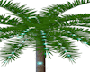 Ambient Oasis Tree Light