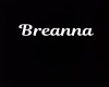 Breanna Necklace/M