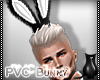 [CS]Mr PVC Bunny