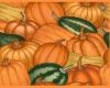 Pumpkins Picture