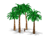 Set of Palm Trees