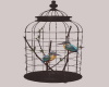 [CN]  Bird Cage