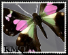 [RMQ]blk &pink Butterfly