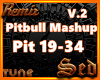 |S| Pitbull Mashup 2