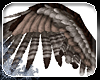 -die- Helian wings
