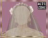 [AZ] Wedding veil ivory