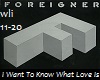 Foreigner What Love Is 2