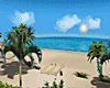 ╳ Sunny Beach ╳