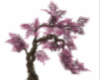 Cherry Tree